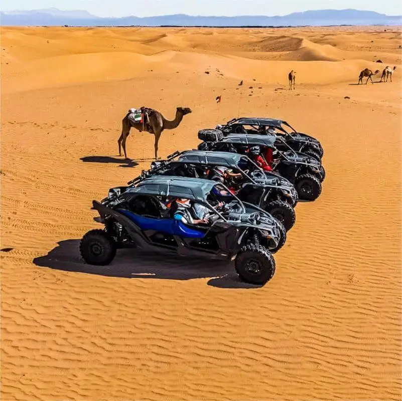 dune-buggy